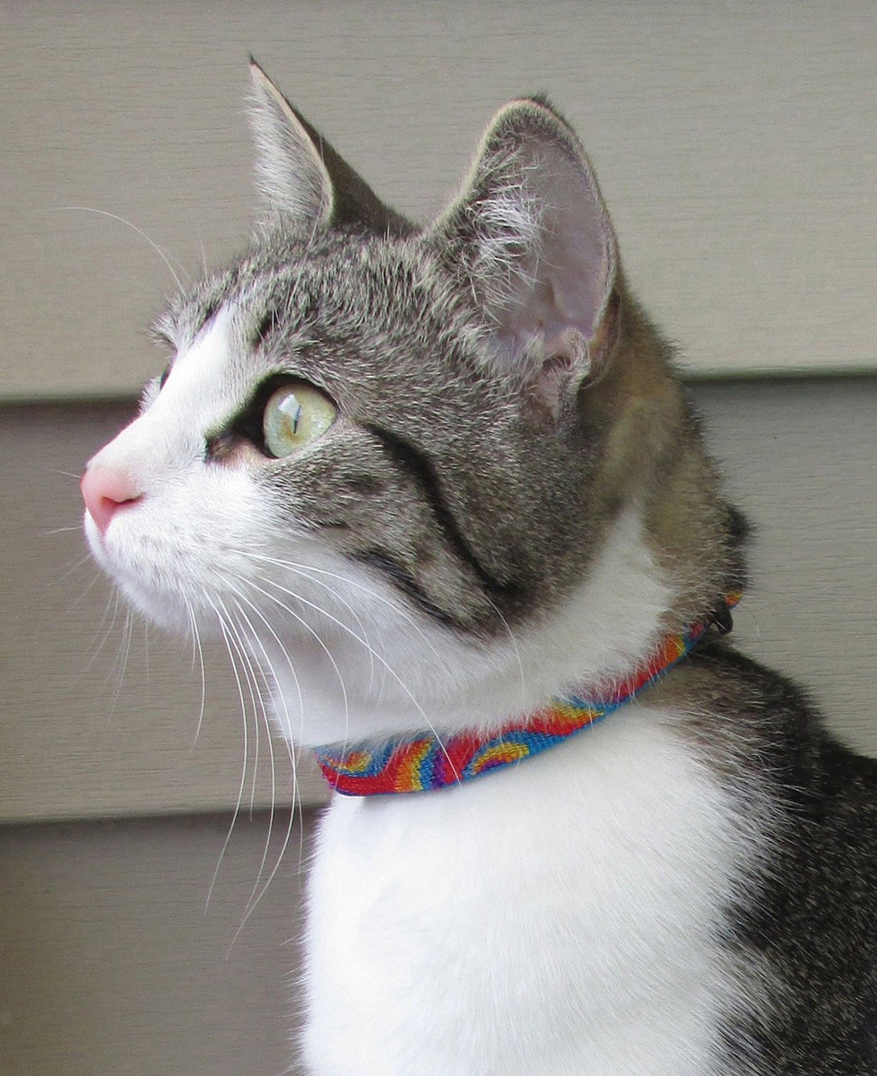 Lupine cat collars and harnesses from Cat Supplies & More Cat