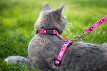 Load image into Gallery viewer, Lupine H-Style Cat Harness Large 12&quot;-20&quot;