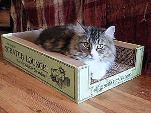 Scratch Lounge Base Replacement - Cat Supplies and More