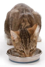 Load image into Gallery viewer, OurPet&#39;s Durapet Stainless Steel 8oz Cat Bowl - Cat Supplies &amp; More