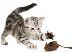 Play-N-Squeak Brown MouseHunter Cat Toy from Cat Supplies & More