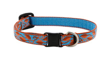 Load image into Gallery viewer, Lupine Autumn and Halloween Theme Cat Collar w/Bell