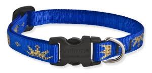 Lupine Safety Cat Collar w/Bell