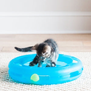 PetMate Crazy Circle Cat toy with refillable catnip ball to keep your cat fixated on chasing the ball