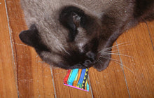 Load image into Gallery viewer, Ratherbee 2&quot; Nip Catnip Toy from Cat Supplies and More
